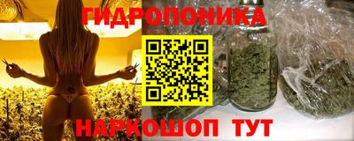 крисы Севастополь