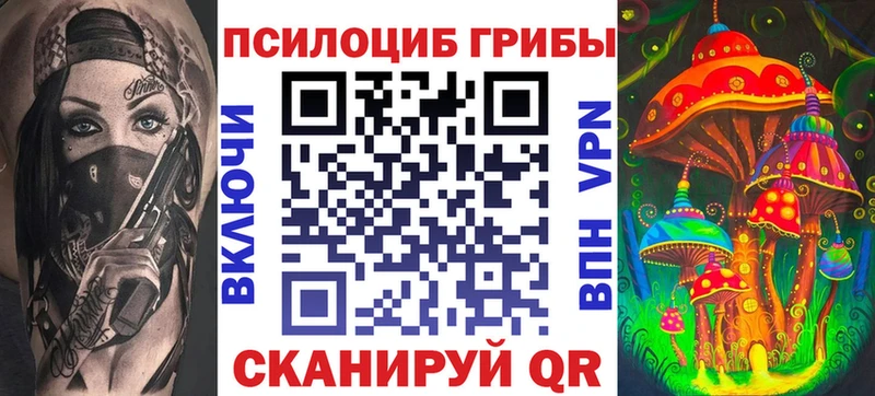 закладки  Ревда  Галлюциногенные грибы Psilocybe 