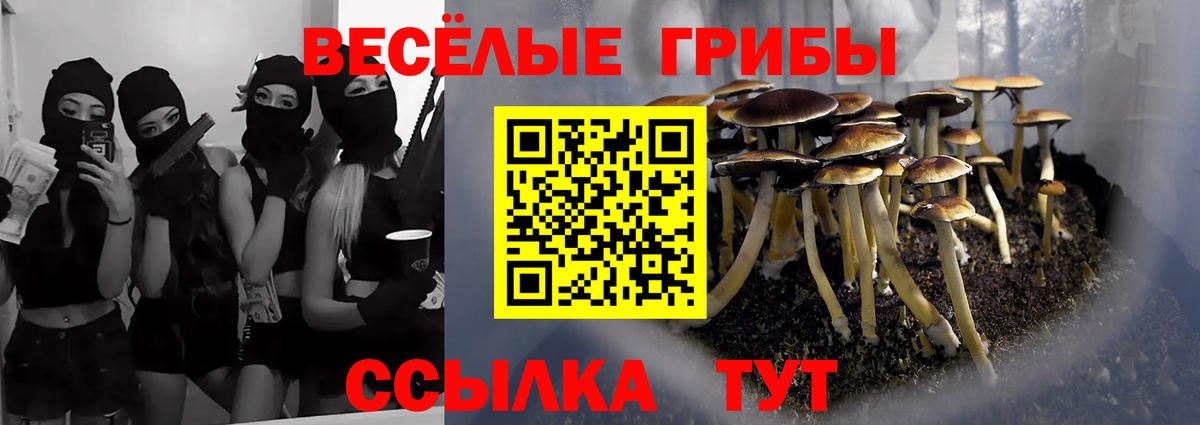 Псилоцибиновые грибы Cubensis Ревда